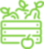 organic-icon-1
