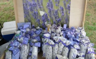 lavanda 1