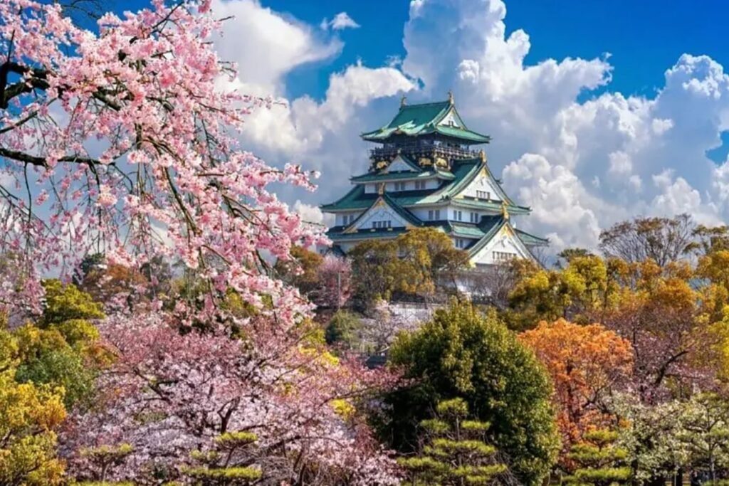 33-tradicionalna-japanska-cveca-plus-kada-i-gde-ih-videti