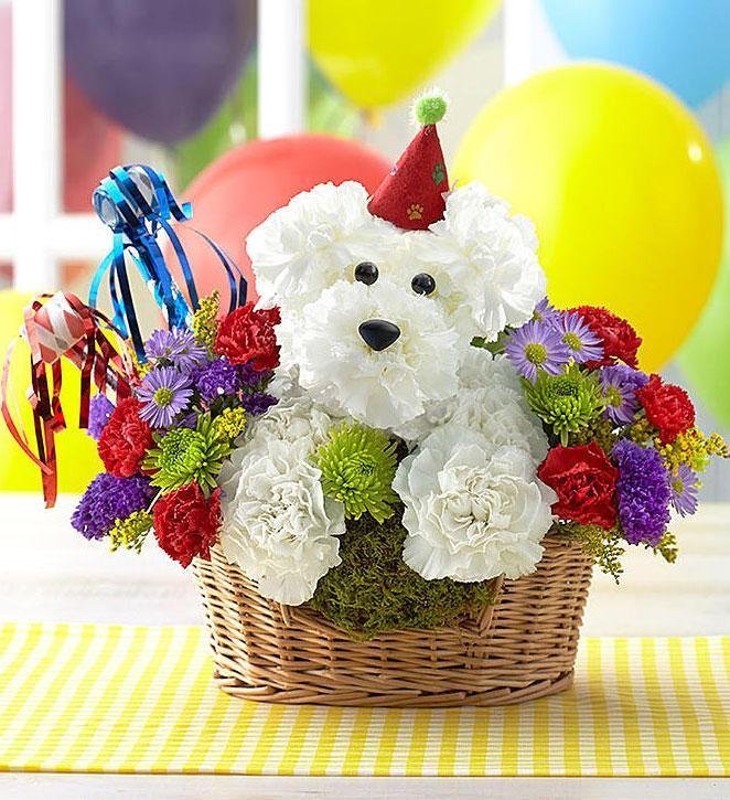 zivotinje-od-cveca-010-1