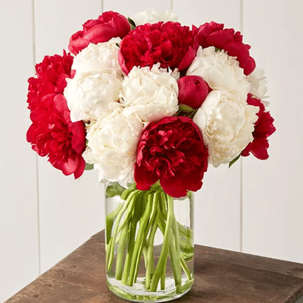 Buket snova od božura